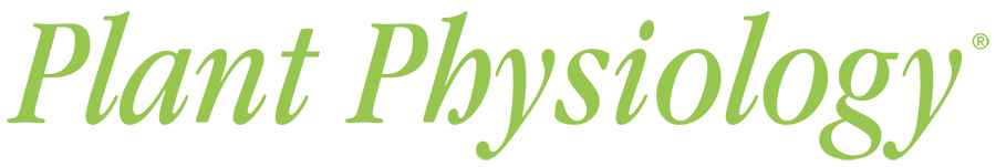 PLANT PHYSIOLOGY